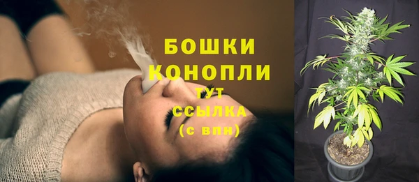 бошки Ельня