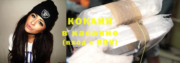 бошки Ельня