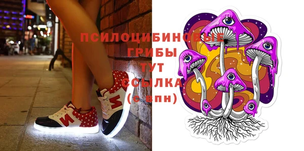 бошки Ельня
