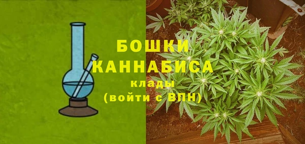 Альфа ПВП Елизово