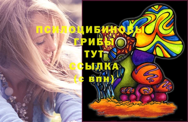 Альфа ПВП Елизово
