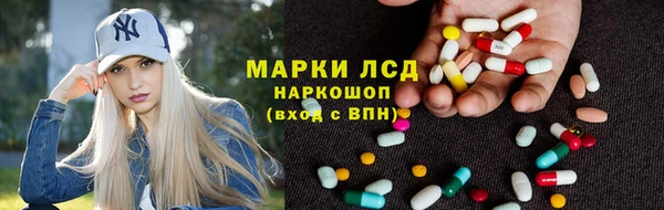 Альфа ПВП Елизово