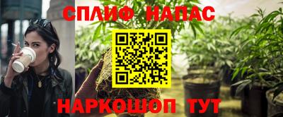 PSILOCYBIN Новодвинск
