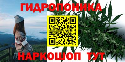 apvp Новозыбков