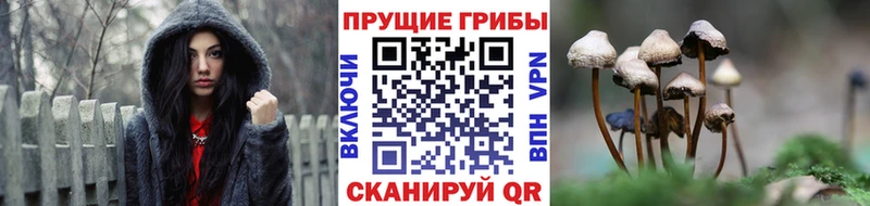 hydra как зайти Уфа Галлюциногенные грибы мицелий купить цена